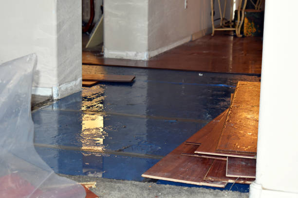 Professional Burst Pipe Cleanup technician working in Orland, ME